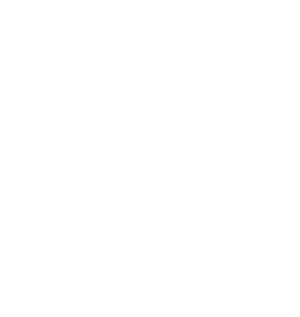 Amaroq India